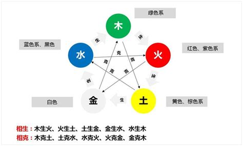 五行植物|植物的五行屬性